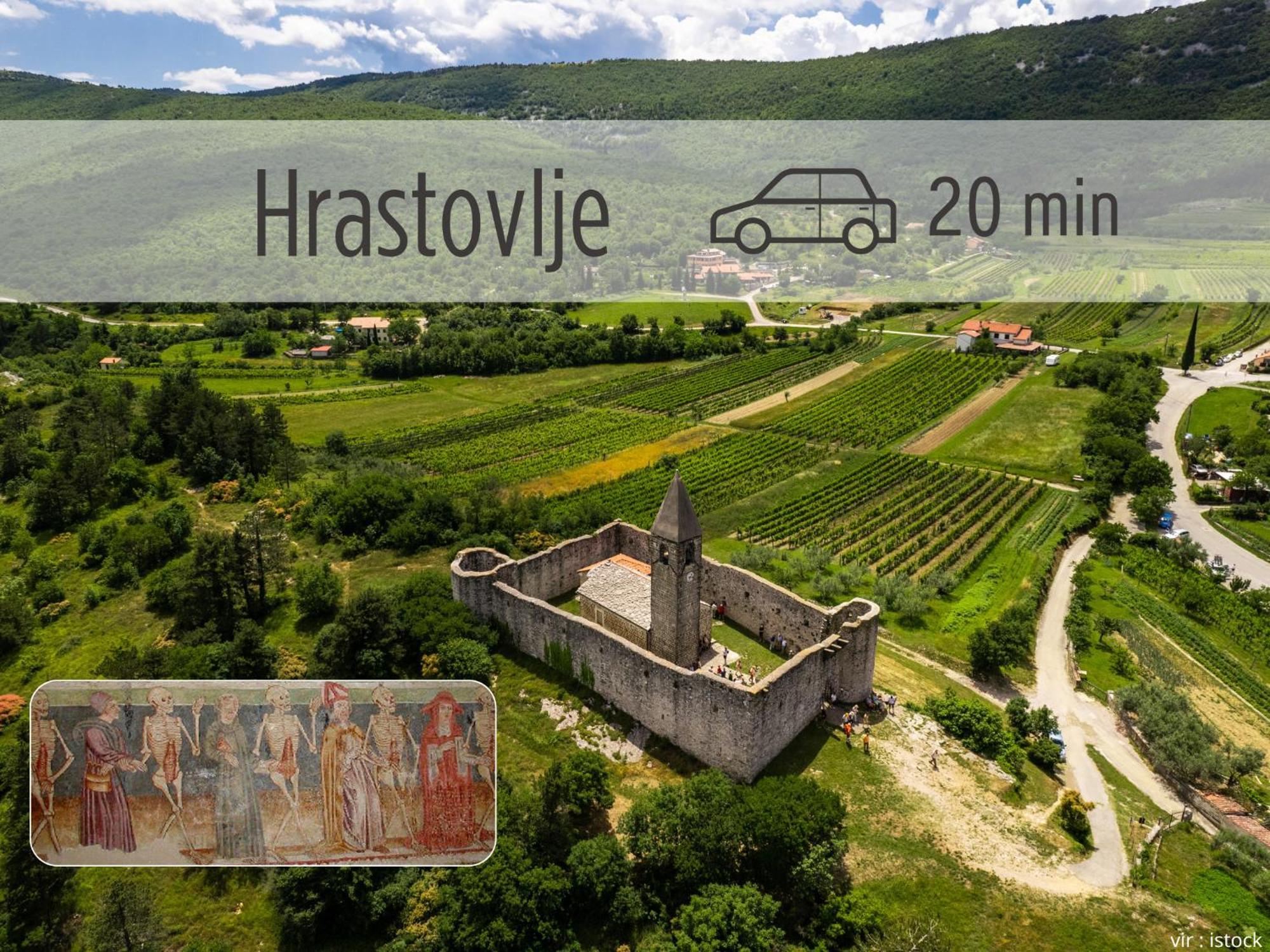 Casa Miranda - Family Comfort In A Quiet Area, Near The Sea, With Bbq And Free Parking Zgornje Skofije Extérieur photo
